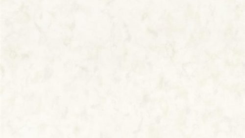 HANNES WHITE 222-01